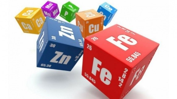 ORGANIC TRACE MINERALS (OTM): MAKING THE RIGHT CHOICE